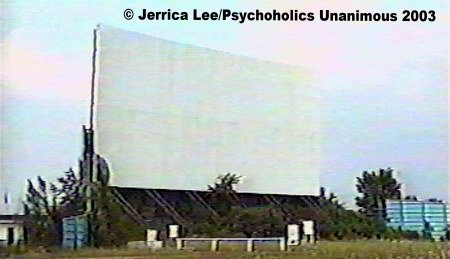 Vista Drive-In Theatre - Screen Courtesy Jerrica Lee Outdoor Moovies (newer photo)